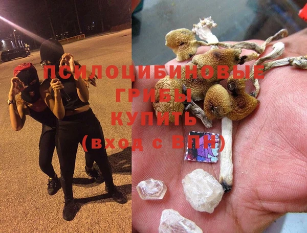 гашиш Нефтекумск