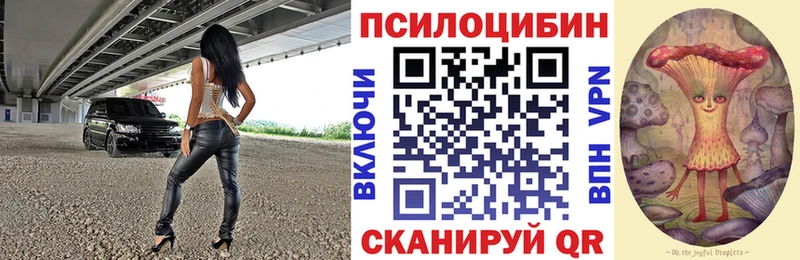 Псилоцибиновые грибы Magic Shrooms  Купить  Суровикино 